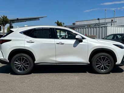 Certified 2025 Lexus NX 350h AWD w/ Cold Area Package