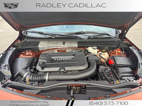 Used 2019 Cadillac XT4 Premium Luxury image 10