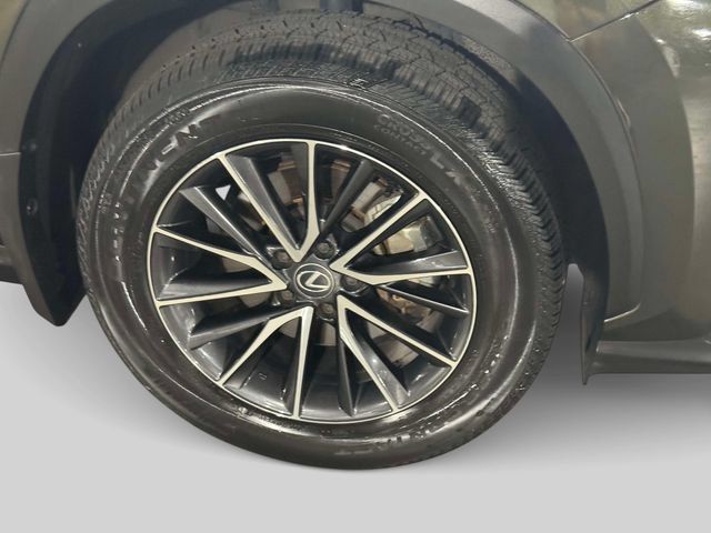 Used 2024 Lexus NX 350 AWD w/ Cold Area Package image 7