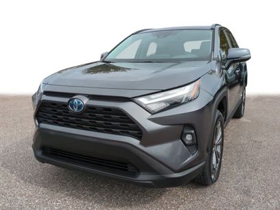 Certified 2023 Toyota RAV4 XLE Premium
