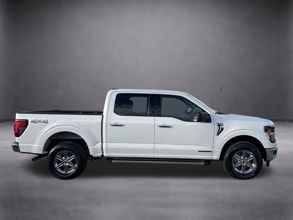 Used 2025 Ford F150 XLT w/ Equipment Group 301A Standard AWD/4WD image 3