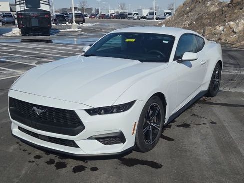 Certified 2025 Ford Mustang Premium image 2