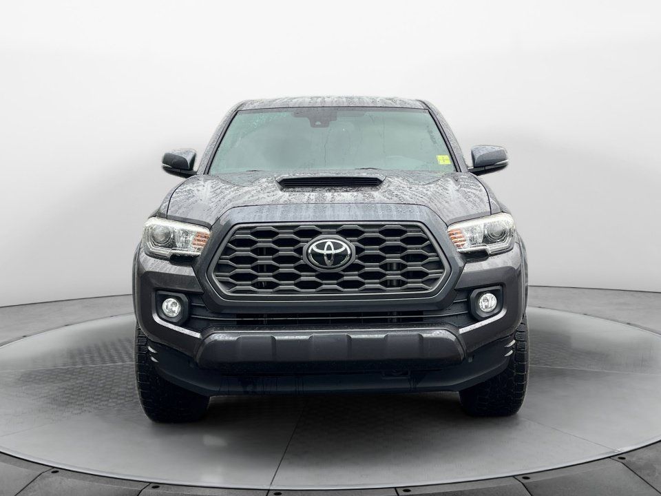 Used 2021 Toyota Tacoma TRD Sport AWD/4WD image 2