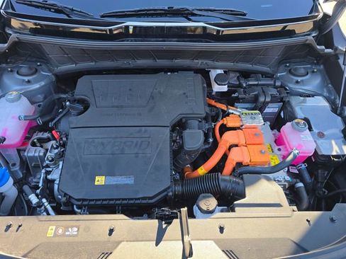 Used 2025 Kia Niro SX image 22