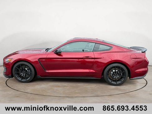 Used 2017 Ford Mustang Shelby GT350 RWD image 6