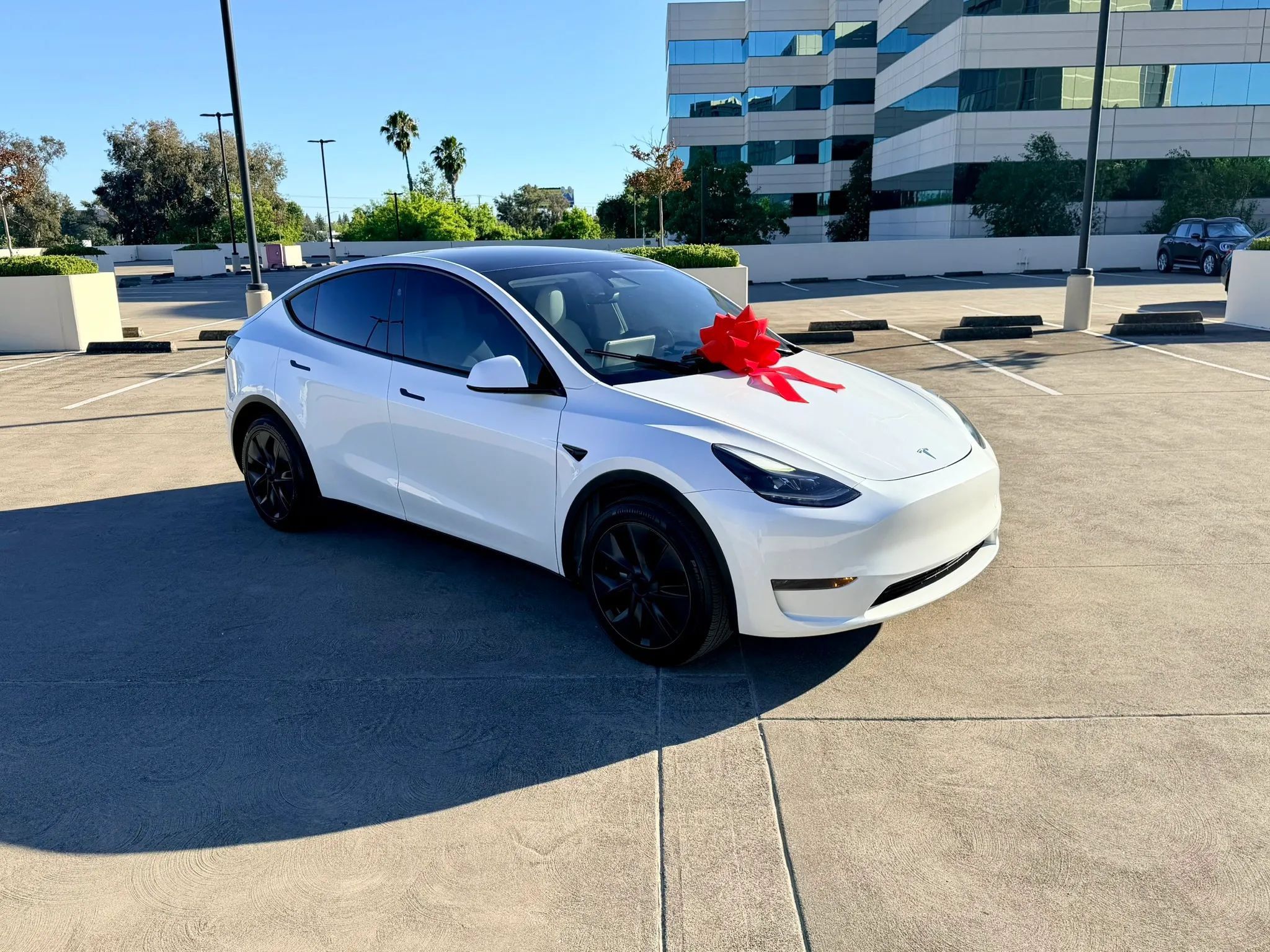 Used 2024 Tesla Model Y Long Range RWD image 15