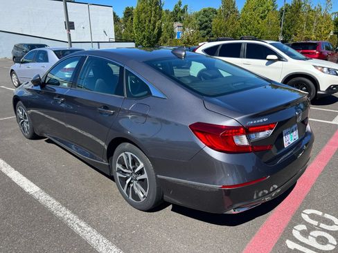 Used 2020 Honda Accord EX-L image 5