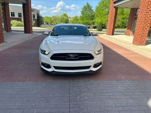 Used 2015 Ford Mustang 50 Years RWD image 2