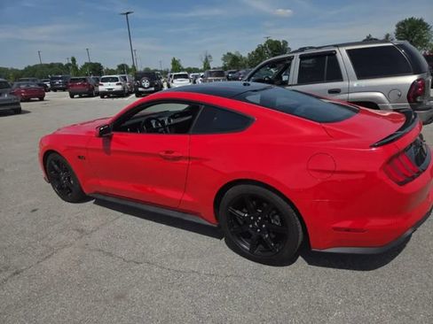 Used 2019 Ford Mustang GT w/ Equipment Group 301A RWD image 5