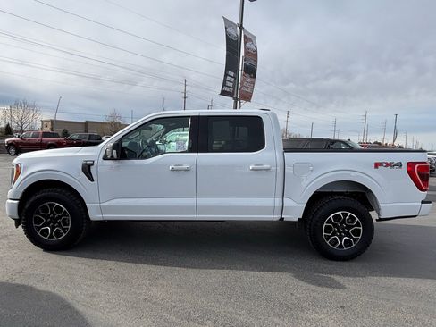 Used 2023 Ford F150 XLT w/ Equipment Group 302A High AWD/4WD image 8