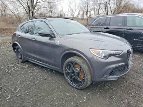 Used 2023 Alfa Romeo Stelvio Quadrifoglio w/ Active Assist Plus Package AWD/4WD image 1