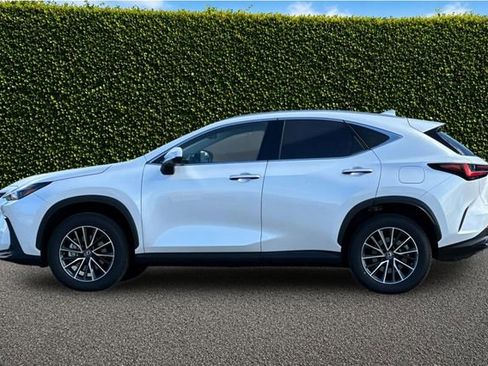 Used 2025 Lexus NX 350h AWD w/ Cold Area Package image 7