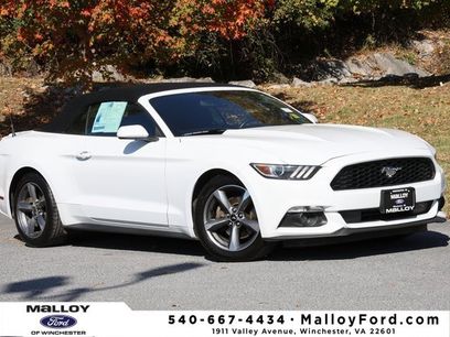 Used 2015 Ford Mustang Convertible w/ Equipment Group 051A