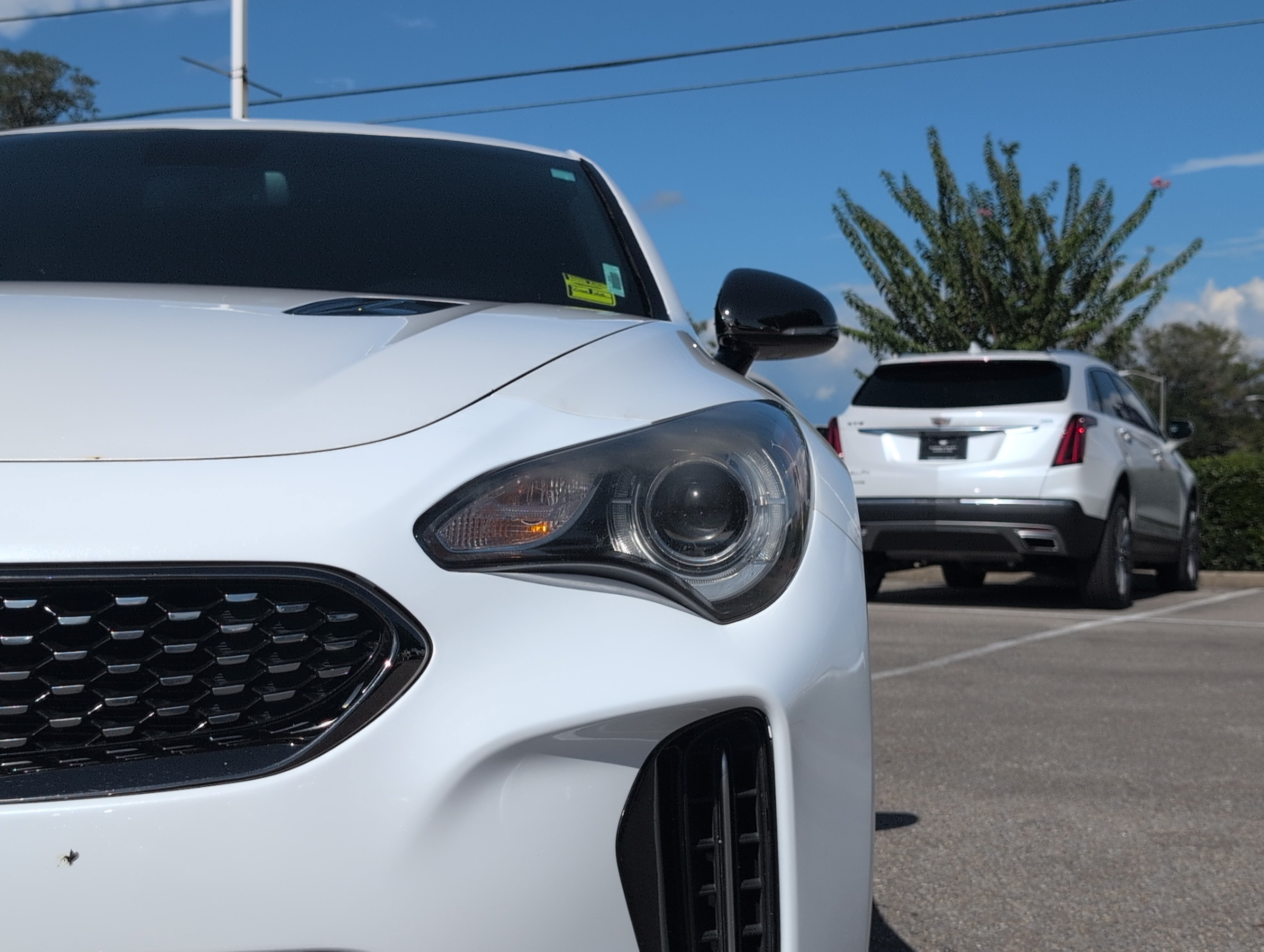 Used 2021 Kia Stinger GT-Line RWD image 12