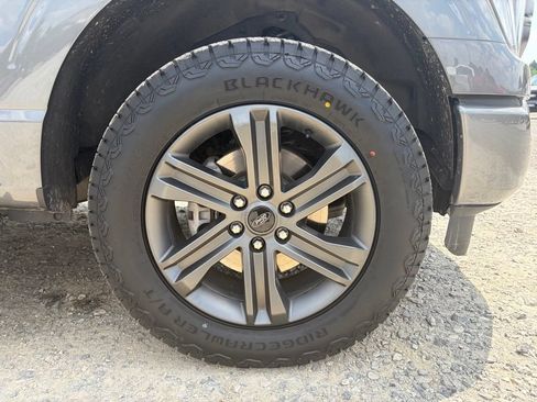 Used 2023 Ford F150 XLT w/ Equipment Group 302A High AWD/4WD image 15