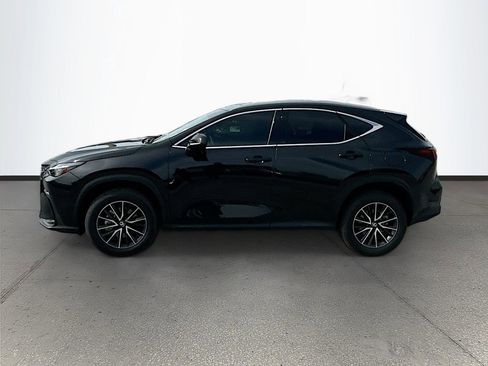 Used 2025 Lexus NX 350 AWD w/ Cold Area Package image 4