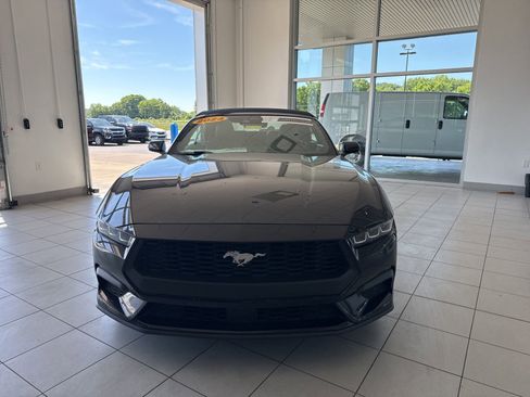 Used 2024 Ford Mustang Premium RWD image 2