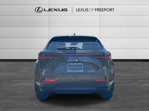 Certified 2024 Lexus NX 250 FWD w/ Cold Area Package image 5