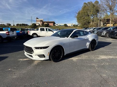 New 2026 Ford Mustang Coupe w/ Mustang Nite Pony Package image 3