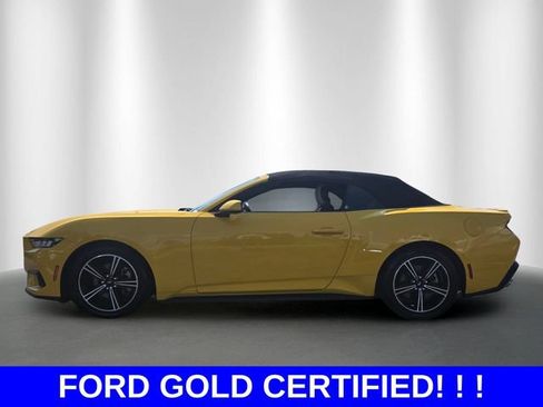 Certified 2024 Ford Mustang Premium RWD image 2