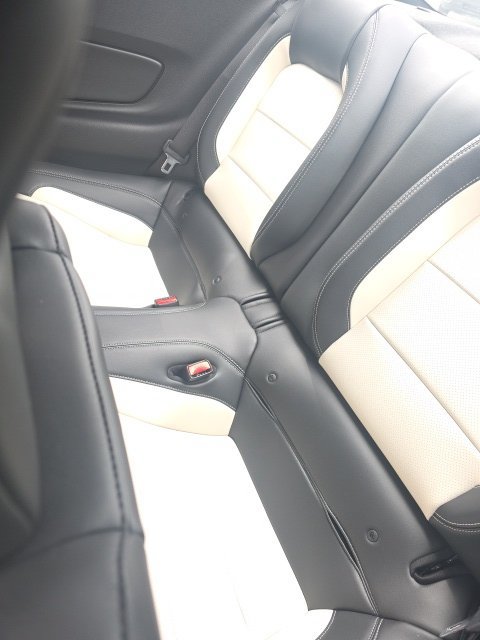 Used 2015 Ford Mustang 50 Years RWD image 10