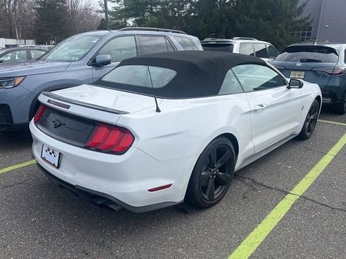 Used 2023 Ford Mustang Premium w/ Equipment Group 201A image 4