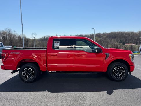 Certified 2023 Ford F150 XLT w/ Equipment Group 302A High AWD/4WD image 3