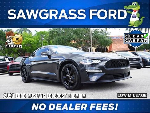 Used 2023 Ford Mustang Premium w/ Equipment Group 201A RWD image 1