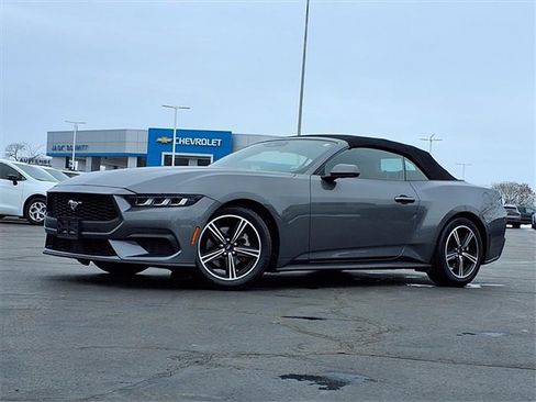 Used 2024 Ford Mustang Premium image 2