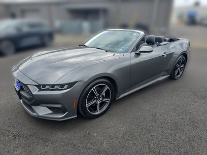 Certified 2025 Ford Mustang Premium