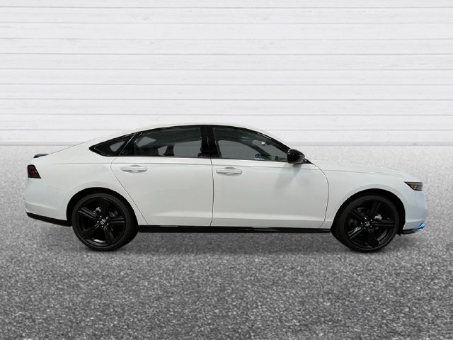 New 2026 Honda Accord Sport image 8
