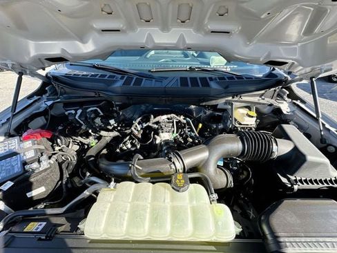 New 2025 Ford F150 STX w/ Equipment Group 200A image 24