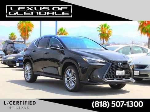 Certified 2025 Lexus NX 350h AWD w/ Cold Area Package image 1