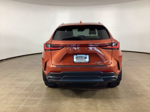 Used 2024 Lexus NX 350 AWD w/ Cold Area Package image 6