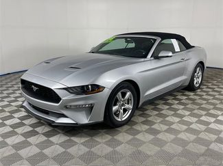 Used 2018 Ford Mustang Premium w/ Equipment Group 201A image 1