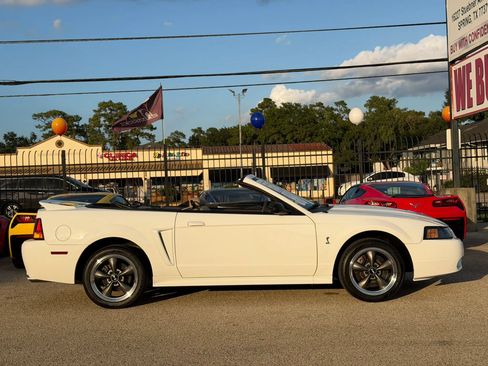 Used 1999 Ford Mustang Cobra RWD image 11