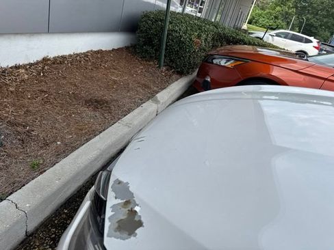 Used 2019 Nissan Sentra SV FWD image 28