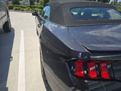 Used 2024 Ford Mustang Premium RWD image 6