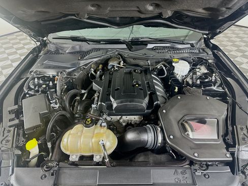 Used 2019 Ford Mustang Coupe w/ Black Accent Package RWD image 28