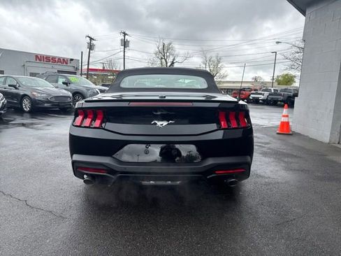 Used 2025 Ford Mustang Premium RWD image 3