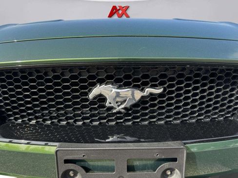 Used 2023 Ford Mustang GT w/ Equipment Group 301A image 14