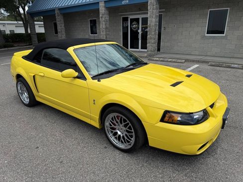 Used 2003 Ford Mustang Cobra RWD image 11