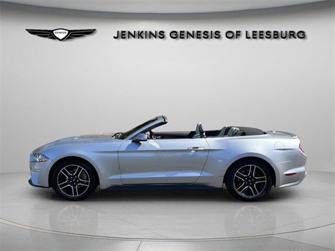 Used 2023 Ford Mustang Premium image 10