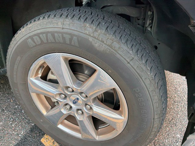Used 2019 Ford F150 XLT w/ Equipment Group 302A Luxury RWD image 3