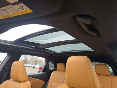 Used 2023 Lexus RX 350 w/ Cold Area Package image 10