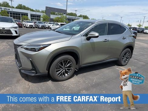 Certified 2024 Lexus NX 350 AWD image 2