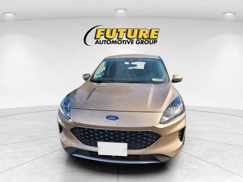 Used 2020 Ford Escape SE AWD/4WD image 2