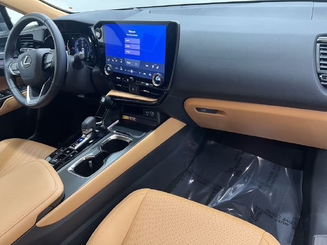 Certified 2025 Lexus NX 350h AWD w/ Cold Area Package image 12