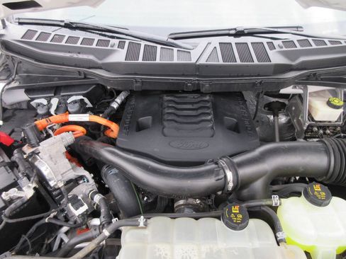 Used 2021 Ford F150 Platinum w/ Equipment Group 701A High AWD/4WD image 17