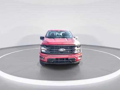 New 2025 Ford F150 XLT w/ Equipment Group 302A MID